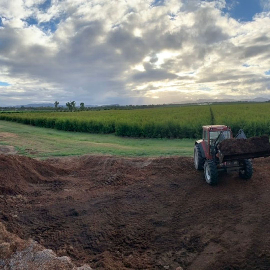 Tea Tree Mulch - per cubic meter